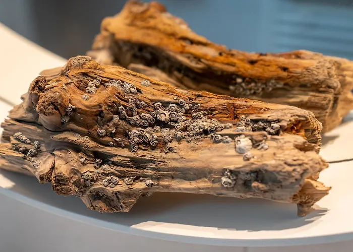 Appartement Meerzeit